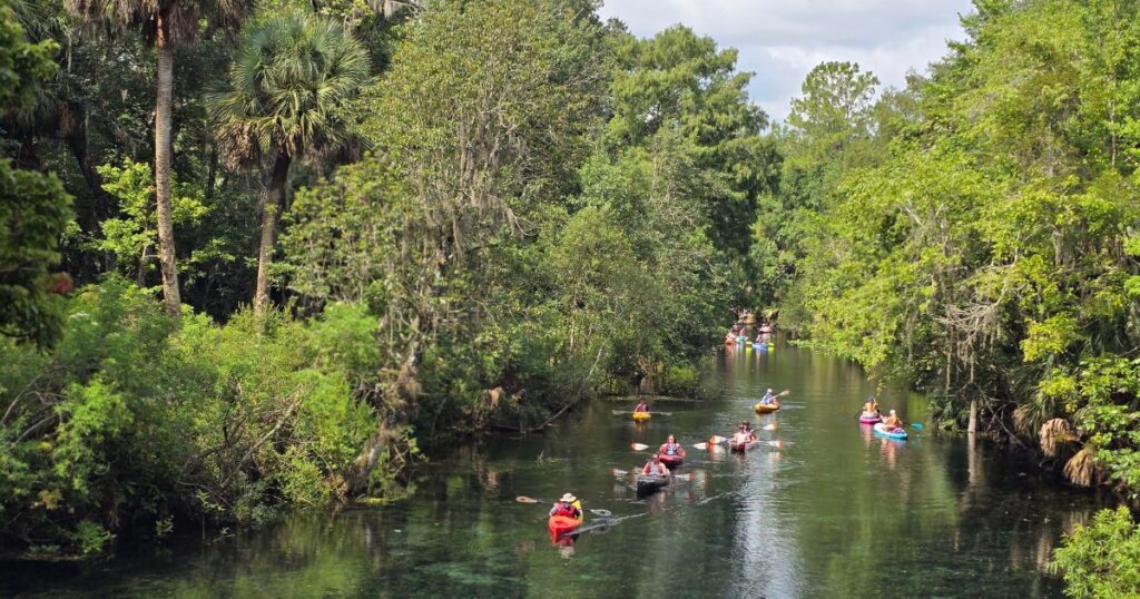 Guided kayak tour Silver River