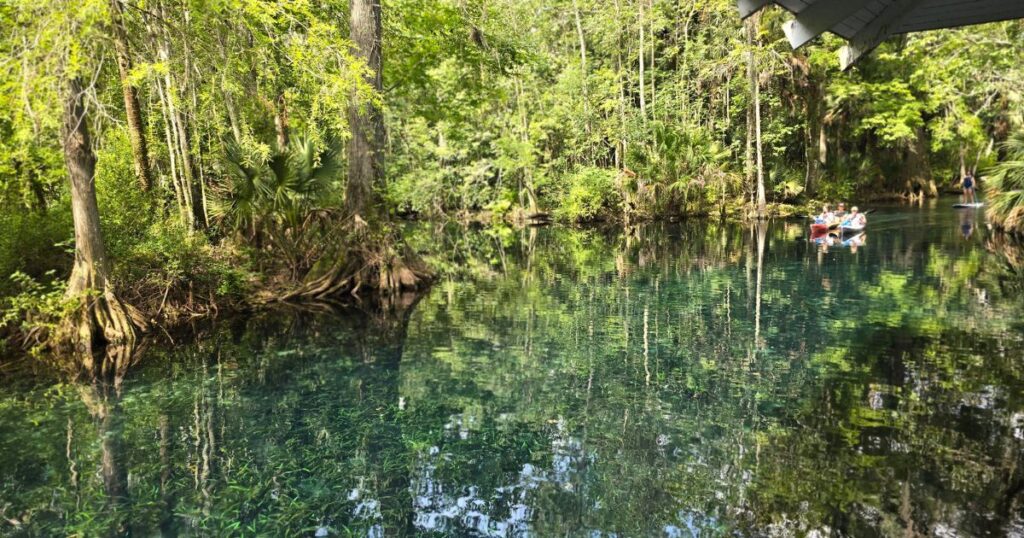 Silver Springs State Park kayaking SILVER RIVER
