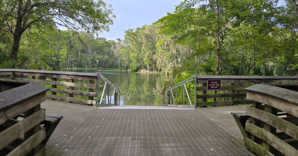Silver River paddle trip SECOND LAUNCH AREA INSIDE SILVER SPRINGS STATE PARK