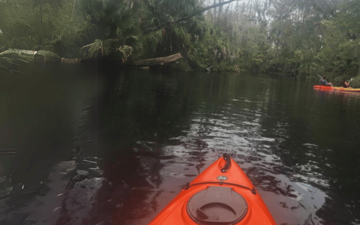 KAYAK AT SILVER SPRINGS STATE PARK FLORIDA