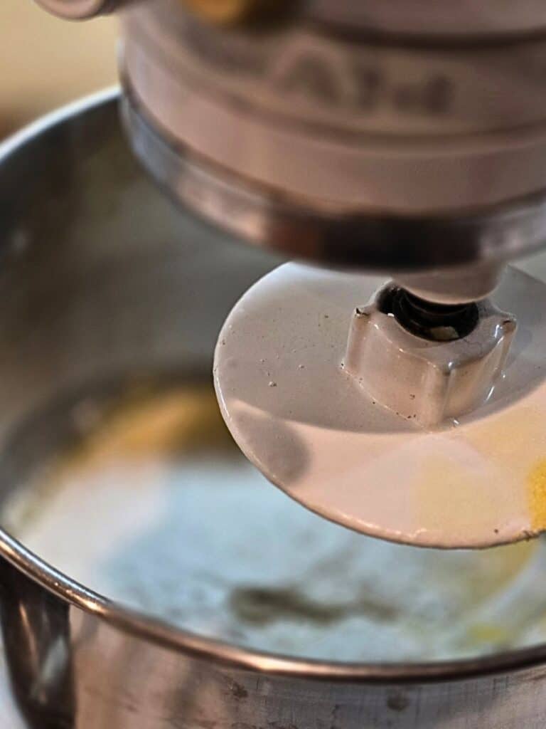 Cranberry walnut bread dough being mixed in a large bowl before rising.