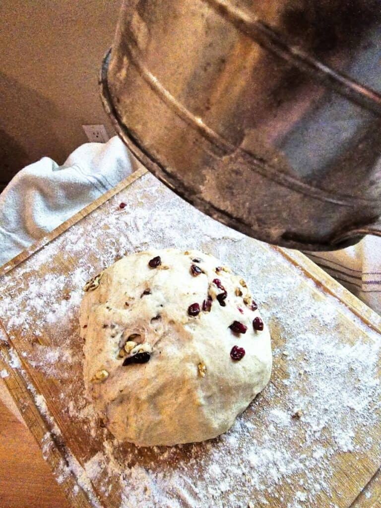 Round cranberry walnut artisan bread dough shaped and ready to bake.