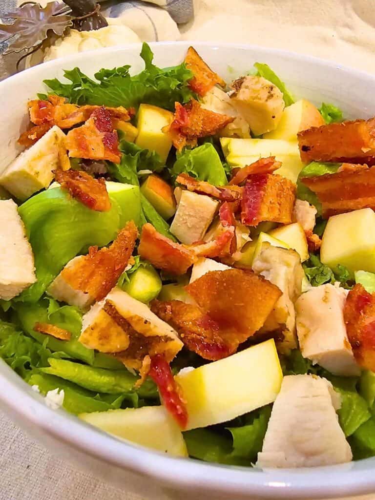 Florida fall harvest salad with apples and cranberries