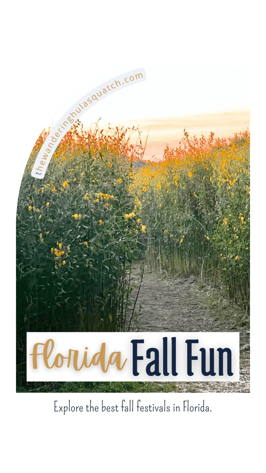 Flor Da Fall BEST FLORIDA FALL FESTIVALS: SUNSHINE AND PUMPKIN SPICE - The Wandering ...