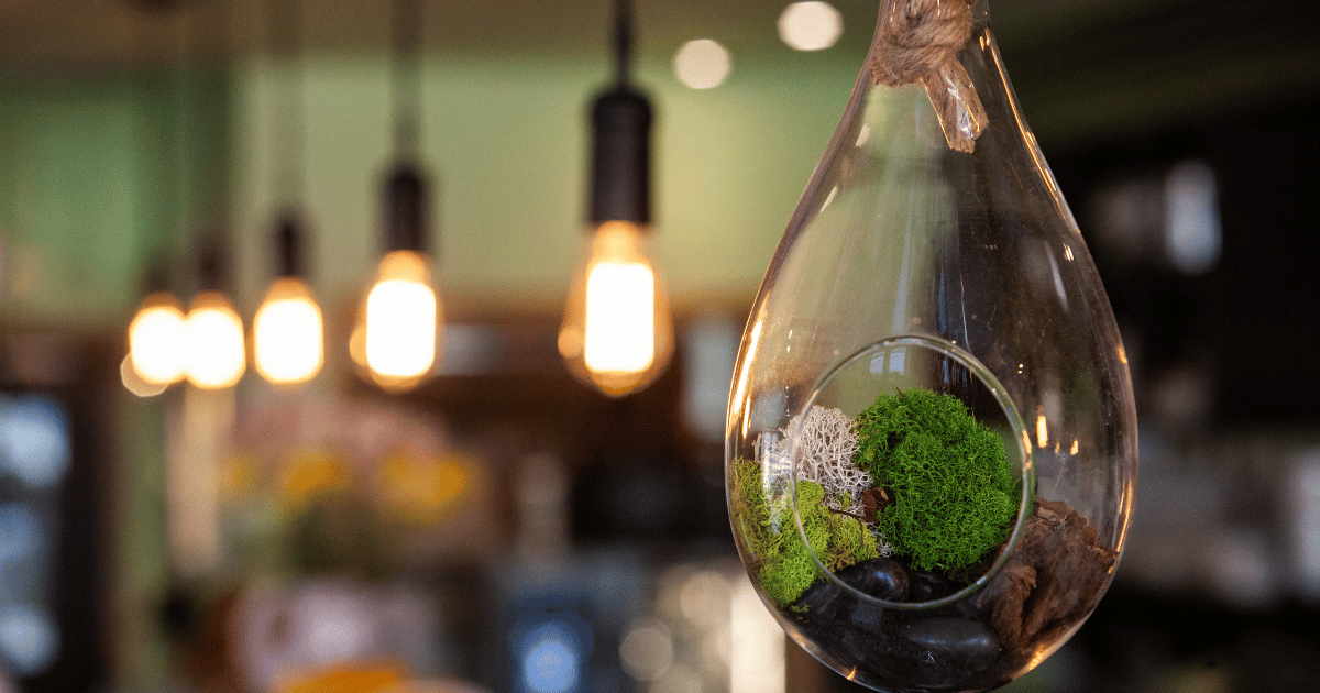 ECOFRIENDLY CAMPING CHRISTMAS GIFTS GREEN HOLIDAY CHEER! The