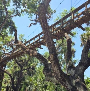 myakka river state park suspension bridge