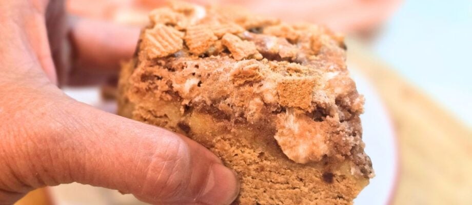 GOOEY S’MORES BAR RECIPE: EASY SUMMER CAMPING DESSERT