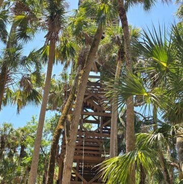 Ultimate Guide to Florida State Parks this is an image of a tower