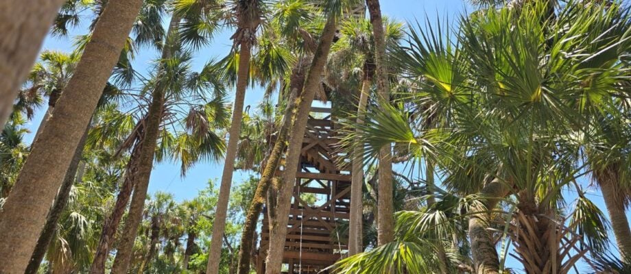 The Ultimate Guide to Florida State Parks- Adventure Awaits