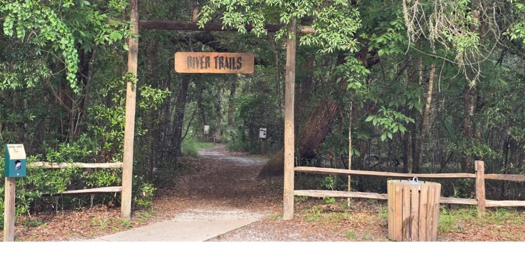 Quiet forest trail at River Trails park, surrounded by lush greenery and trees.