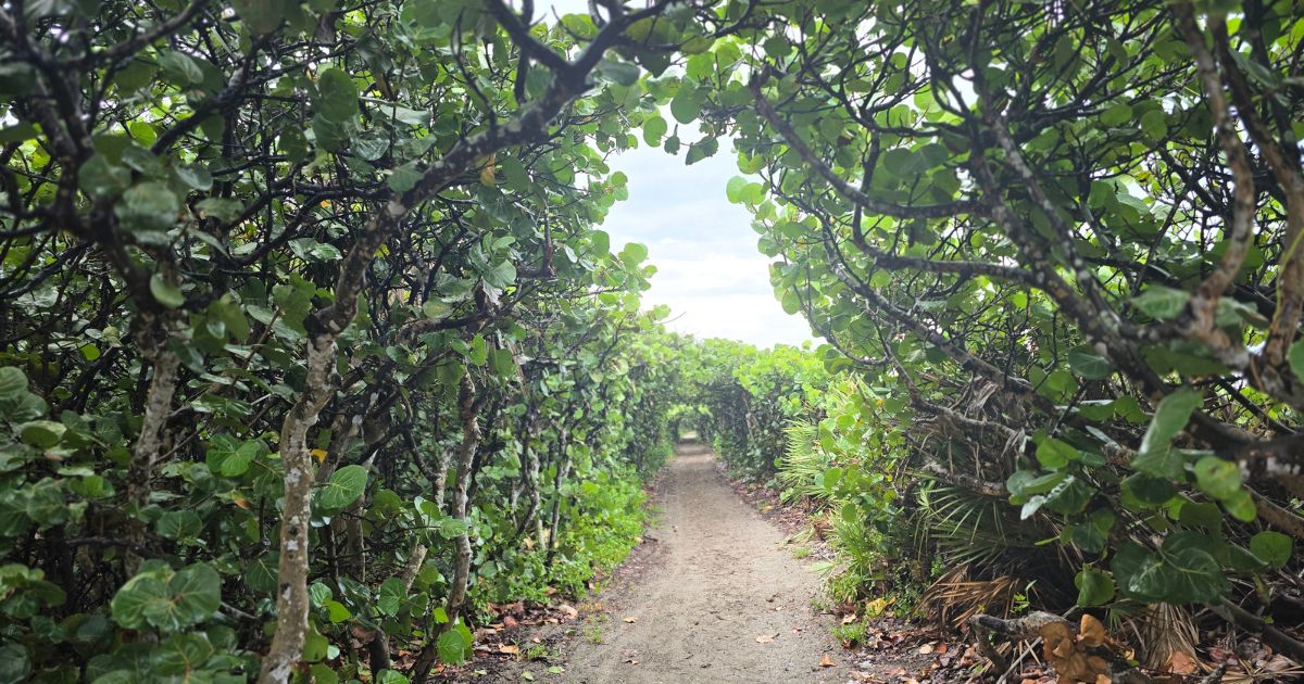 BLOWING ROCKS PRESERVE | FLORIDA'S WILD COASTLINE - The Wandering ...