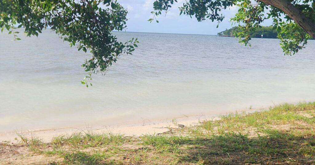 FLORIDA KEYS BEACH VIEW AT CURRY HAMMOCK STATE PARK