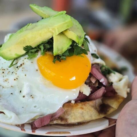 Easy breakfast pork tostada on a plate topped with mojo pork, fried egg, avocado, and fresh cilantro