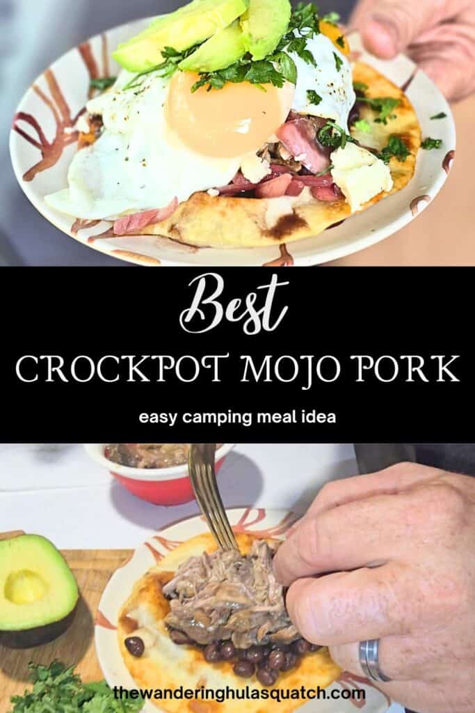 Eye-catching photo of shredded mojo pork with citrus marinade, styled for Pinterest sharing