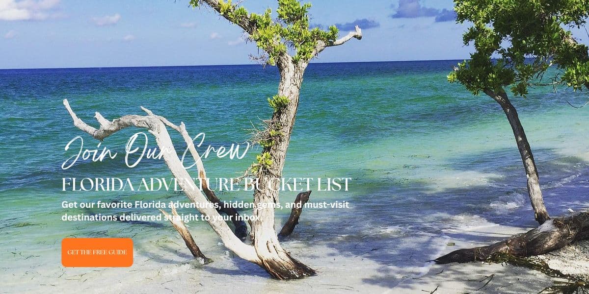FLORIDA KEYS BEACH WITH WHITE DEAD TREE